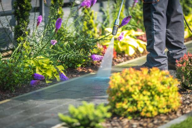 Best Sidewalk and Walkway Cleaning  in Unt Vernon, MO